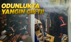 Odun deposunda yangın çıktı
