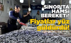 Sinop'ta hamsi fiyatları yüz güldürüyor
