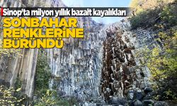 Milyon yıllık bazalt kayalıkları ziyaretçileri ağırlıyor