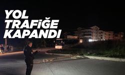 Kamyonet aydınlatma direğini devirdi