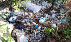 Sinop-Ayancık yolunda çevre kirliliği tepkisi