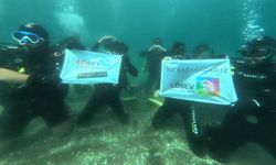 Sinop’ta kansere karşı farkındalık dalışı