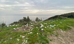Sinop Adabaşı mevkisindeki çöpler tepki çekti