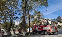 Belediyeden Uğur Mumcu Meydanı’nda yılbaşı hazırlığı