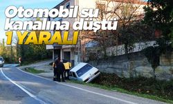 Yoldan çıkan otomobil su kanalına düştü