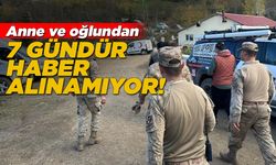 Kaybolan anne ve oğlunu arama çalışmaları sürüyor