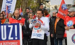 Kamu-İş Sinop İl Başkanı Şahbenderoğlu'ndan Çerçeve Yasaya tepki