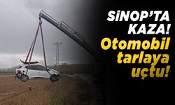 Sinop’ta kaza: Otomobil tarlaya uçtu
