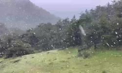 Haziran ayına günler kala kar sürprizi