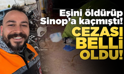 Eşini öldürüp Sinop'a kaçmıştı: Mahkeme kararını verdi