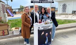 Anahtar Parti Sinop Kadın Kolları'ndan Anneler Günü etkinliği