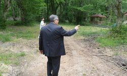 Sinop Millet Ormanı hizmete açıldı