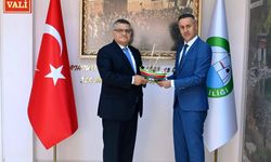 Başsavcı Pektaş'tan Vali Özarslan'a veda ziyareti