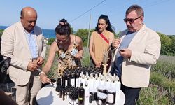 Sinop'ta bir lavanta bahçesi daha açıldı!