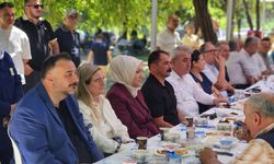 İstanbul'da yaşayan Sinoplular piknikte bir araya geldi