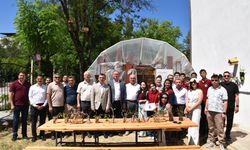 Sinop'ta öğrenciler ata tohumundan fide yetiştirdi
