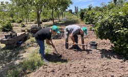Özel izinle yetiştirdiği salep ile arazisini tarıma kazandırdı