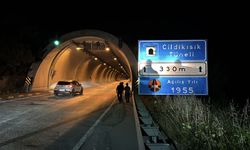 Tünelde otomobilin çarptığı bozayı yaralandı