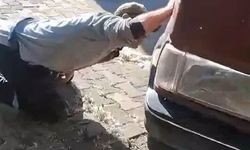 Aracın motoruna giren yılanı ekipler yakaladı