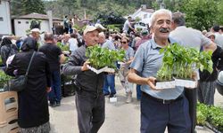 Bolu'da ücretsiz fide dağıtımı