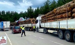 Sinop'ta orman emvali nakilleri denetimi sürüyor