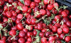 Tezgahlara inen kiraz fiyatıyla memnun ediyor