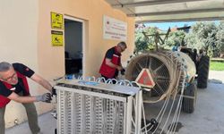 Üzümde kalıntı riskine karşı denetim