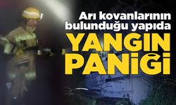 Arı kovanlarını alevler sardı, ekipler teyakkuza geçti
