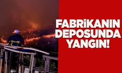 Sinop'ta fabrikanın talaş deposunda yangın çıktı