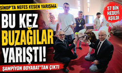 Podyuma Buzağılar Çıktı: Sinop'ta Renkli Yarışma