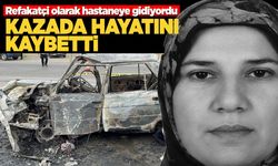 Sinop–Samsun yolunda kahreden kaza