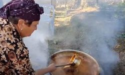 Gerze'de dutlar pekmeze dönüşüyor