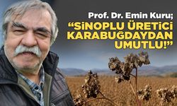 Sinop’ta karabuğday tarımı bölgesel dönüşüme katkı sağlayacak!