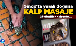 Sinop’ta kalbi duran doğana kalp masajı!