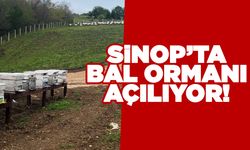 Dibekli Köyü Bal Ormanı hizmete açılıyor