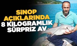 Sinop'ta nadir görülen kötek balığı avlandı