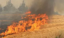 Buğday tarlasında yangın