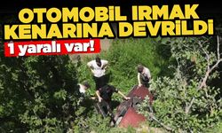 Otomobil ırmak kenarına devrildi: 1 yaralı