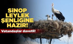Sinop'taki leylek şenliği bölgesel kalkınmayı destekleyecek!