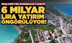 Yerel Kalkınma Hamlesi Programı başvuru sonuçları açıklandı