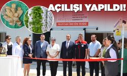 Sinopya Kadın Kooperatifinden tarım ve üretim hamlesi