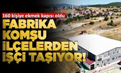 Sinop'ta herkes iş ararken onlar işçi bulamıyor!