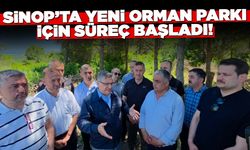 Ücretsiz Olacak: Sinop'ta Yeni Orman Parkı İçin Süreç Başladı