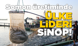 Sinop, Türk somonu üretiminde ülkede ilk sırada