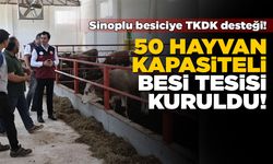 Sinoplu besici devlet desteğiyle kapasitesini artırdı