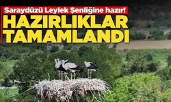 Leylek Şenliği'ne sayılı günler kaldı!
