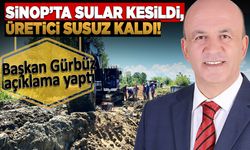 Çeltiği susuz bırakan altyapı krizi: Başkan açıklama yaptı!