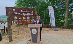 Sinop’ta Bal Ormanı hizmete açıldı