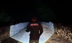 Sinop'ta ormanlar 7/24 gözetim altında