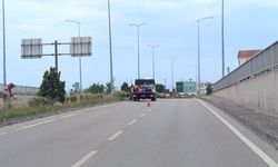 Sinop-Samsun yolunda ot temizliği çalışması başlatıldı